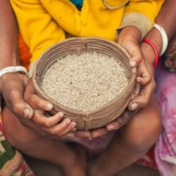 Close-up of hands holding a woven basket filled with rice in Bangladesh.