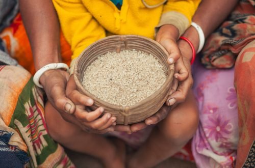 Close-up of hands holding a woven basket filled with rice in Bangladesh.